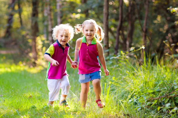 Kinderen Wandelen Het Bos Bergen Kinderen Spelen Buiten Zomer Kleine — Stockfoto