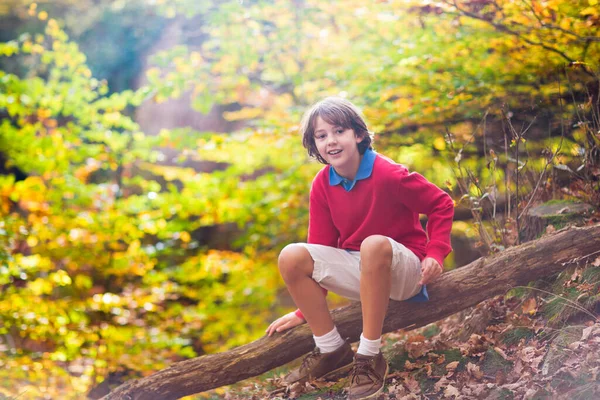 Дети Играют Осеннем Парке Дети Бросают Желтые Красные Листья Школьник — стоковое фото