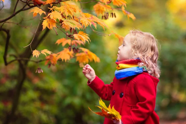 Dítě Podzimním Parku Holčička Žlutým Listem Kluk Hraje Podzimním Zlatým — Stock fotografie