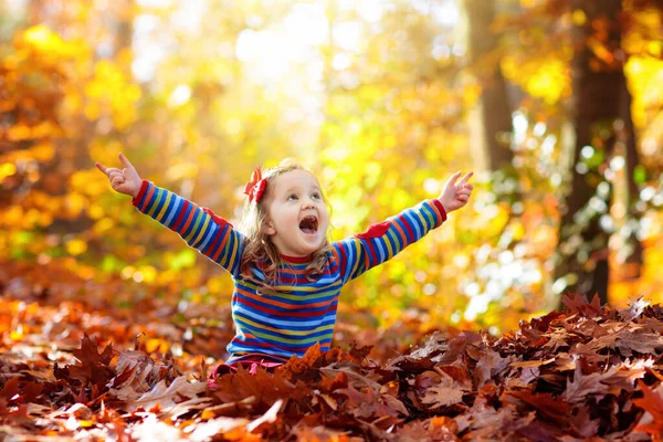 파크에 있는아이 나뭇잎을 나뭇잎가지고 애들은 밖에서 아이들은 숲에서 하이킹을 단풍나무 — 스톡 사진