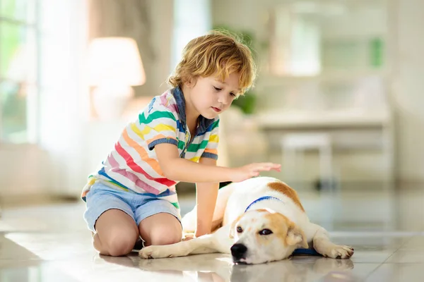 Kind Spielt Mit Babyhund Kinder Spielen Mit Welpen Kleiner Junge — Stockfoto