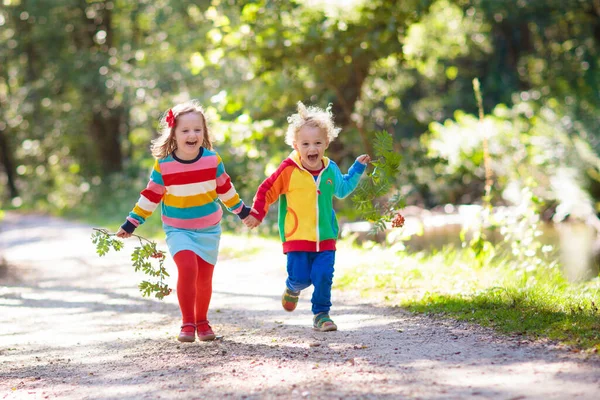 孩子们在森林和高山上徒步旅行 夏天孩子们在户外玩耍 在国家公园徒步旅行的小男孩和女孩 户外娱乐和健康活动 — 图库照片