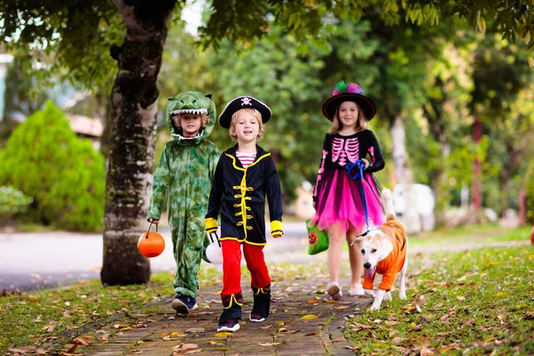 Kinder Tricksen Oder Behandeln Halloween Kostüm Kinder Bunten Kostümen Mit — Stockfoto