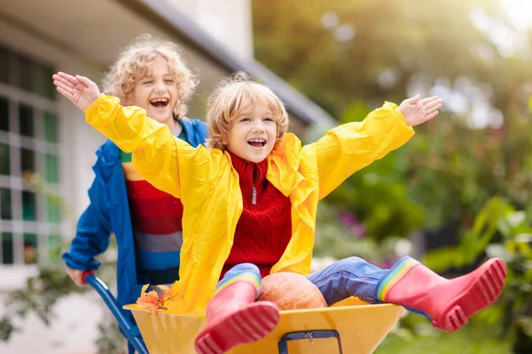 カボチャのパッチのホイールバローの子供たち 感謝祭とハロウィーンの季節の子供たちのための秋の屋外の楽しみ 農場で車輪の矢を押す少年 秋の庭で遊ぶ子供 キドピッキングスカッシュ — ストック写真
