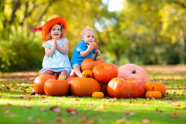 Små Barn Som Njuter Skördefestivalsfirandet Pumpapajen Barn Plockar Och Snidar — Stockfoto