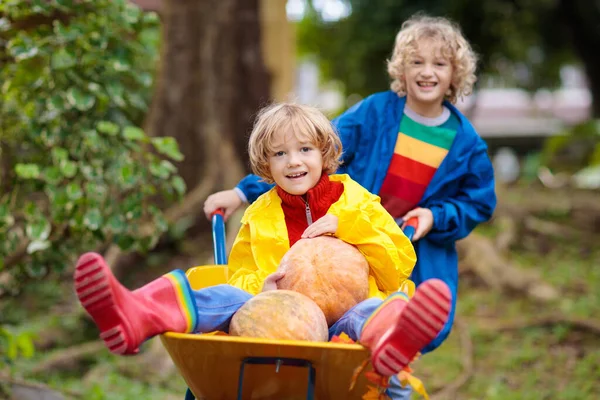 Děti Kolečku Dýňové Náplasti Podzimní Venkovní Zábava Pro Děti Sezóně — Stock fotografie