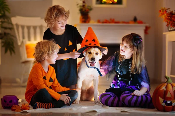 Menina Menino Traje Bruxa Halloween Truque Deleite Crianças Brincam Com — Fotografia de Stock