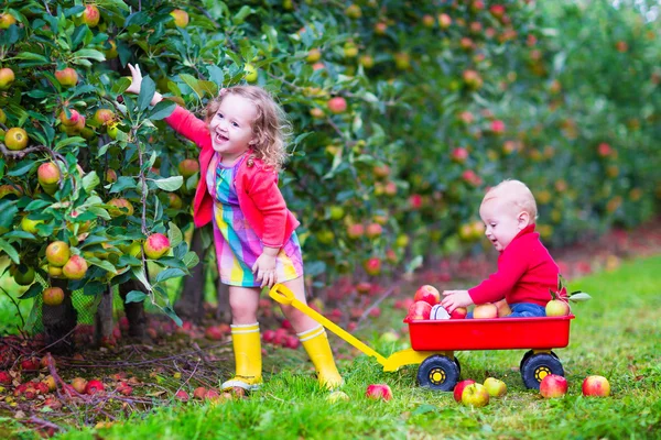 Děti si hrají zahradě apple — Stock fotografie