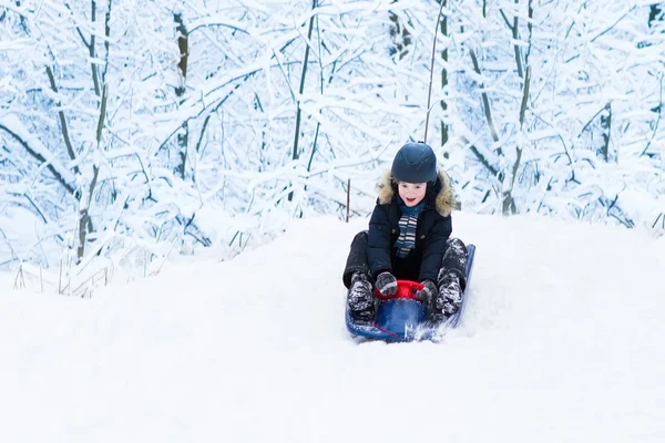 Little boy enjoying a sleigh ride in a snowy forest — Stock Photo, Image