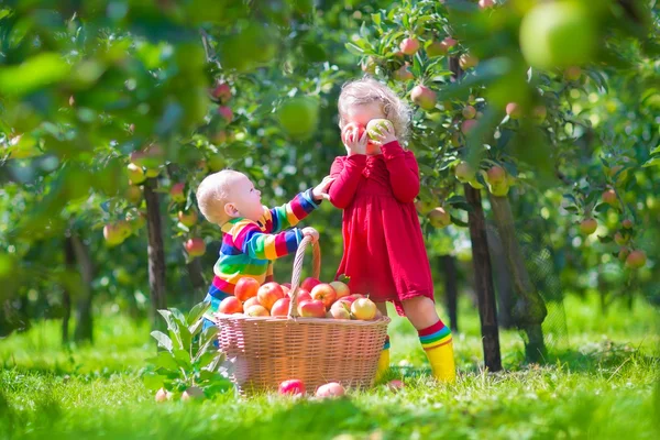 Kinder mit Apfelkorb — Stockfoto