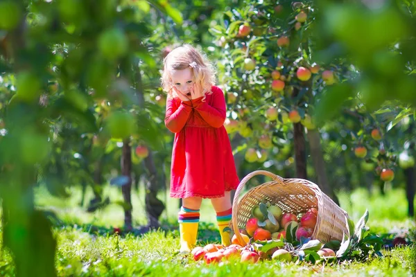 Kleines Mädchen im Apfelgarten — Stockfoto