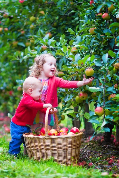 Niños con cesta de manzana —  Fotos de Stock