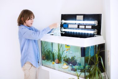 Child putting new fish in an aquarium clipart