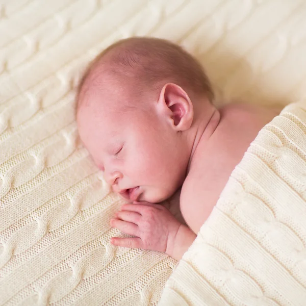 Прекрасный новорожденный ребенок спит под теплым трикотажным одеялом — стоковое фото