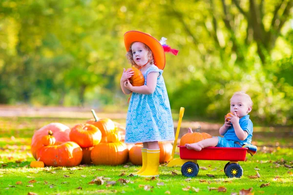 Barnen på pumpkin patch — Stockfoto