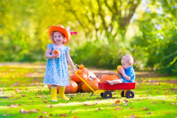 Barnen på pumpkin patch — Stockfoto