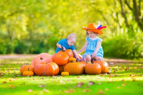 Barn på pumpkin patch — Stockfoto