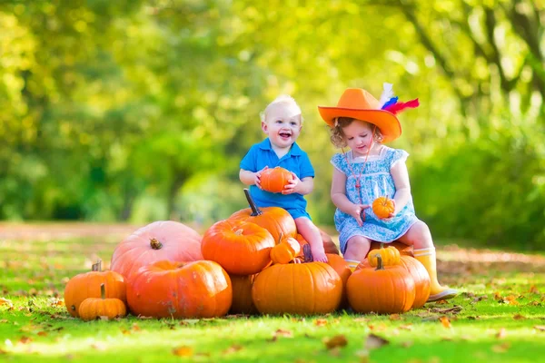 Children at pumpkin patch — Stock Photo, Image