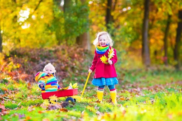 Bratr a sestra v podzimním parku — Stock fotografie