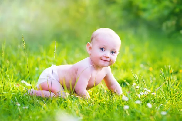 Babyjongen kruipen in de tuin — Stockfoto
