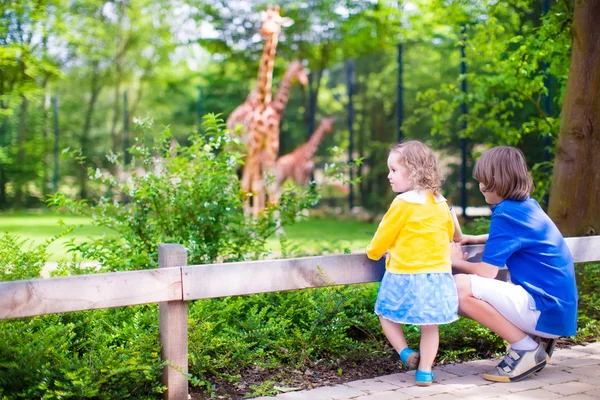 Children in the zoo — Stock Photo, Image