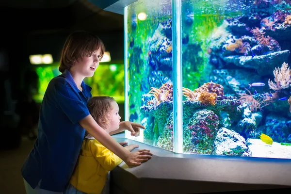 Kids watching fishes in aquarium — Stock Photo, Image