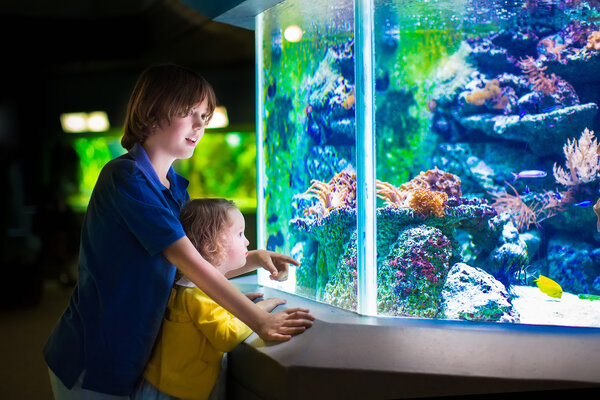 Kids watching fishes in aquarium