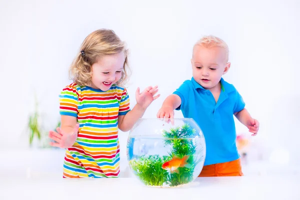 Kids watching fish bowl — Stock Photo, Image