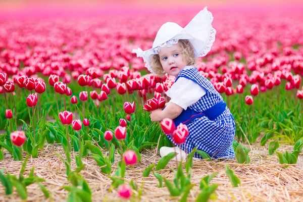 Chica holandesa en el campo de tulipanes en Holanda — Foto de Stock