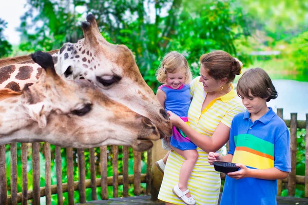 Kids feeding giraffe in a zoo — Stock Photo, Image