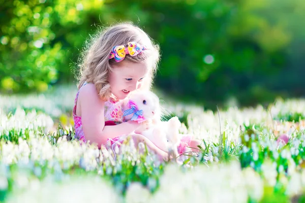 Little girl playing with a rabbit — Stock Photo, Image