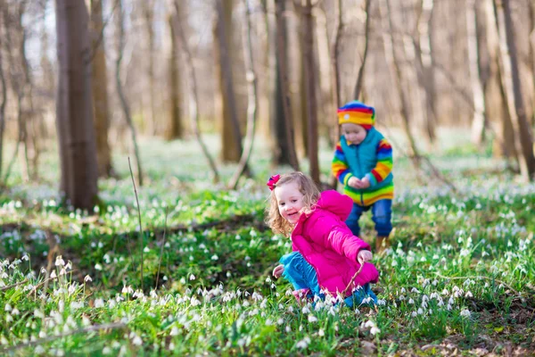 Niños jugando en un bosque de primavera — Foto de Stock