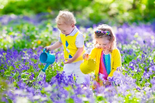 ブルーベルの花で庭の子供たち ストック画像