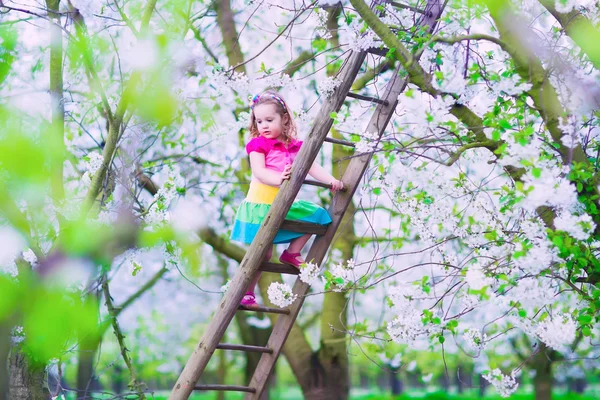 Ragazzina su una scala nel giardino di melo — Foto Stock