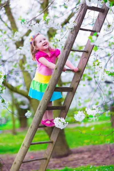 Little girl on a ladder in apple tree garden — Stock Photo, Image