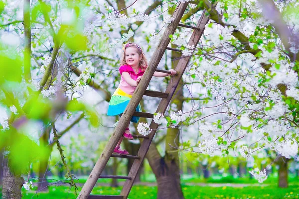 Little girl on a ladder in apple tree garden — Stock Photo, Image