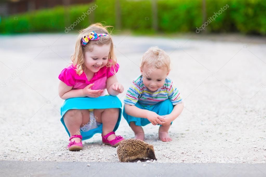 Two kids watching a hedgehog