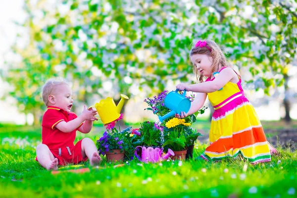 Kinderen in een tuin met bloeiende kersen bomen — Stockfoto