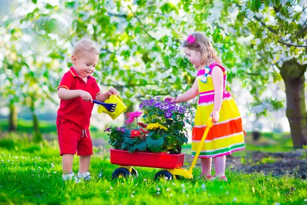 Kinderen in een tuin met bloeiende kersen bomen — Stockfoto