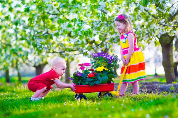 Barn i en trädgård med blommande körsbärsträd — Stockfoto