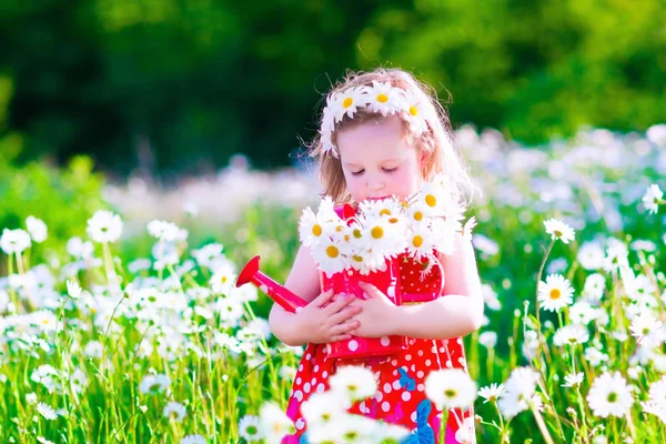 Menina com lata de água em um campo de flores margarida — Fotografia de Stock