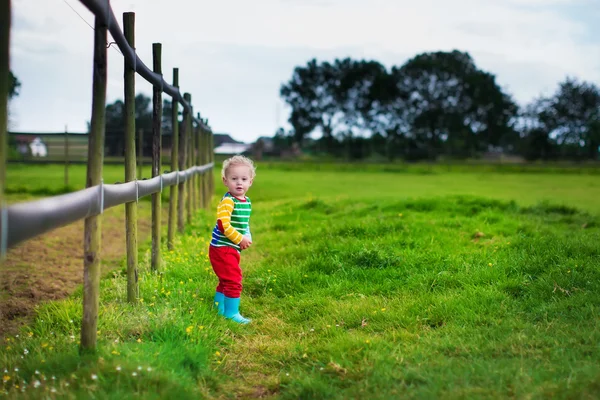 Little boy playing on a farm — Stock Photo, Image