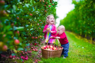 çocuklar bir çiftlikte taze elma toplama