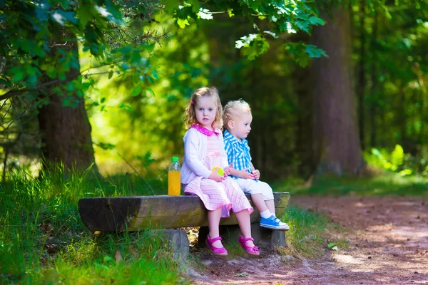 Kids on a bench in a summer forest — Stock Photo, Image