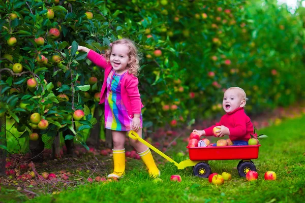 Kinderen plukken van apple op een boerderij — Stockfoto