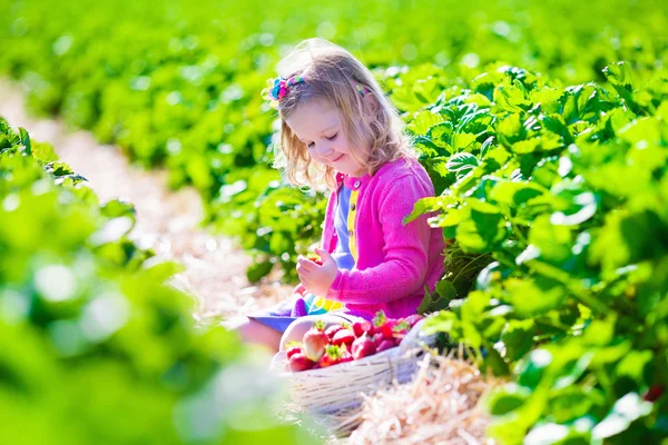 Petite fille cueillant des fraises dans une ferme — Photo