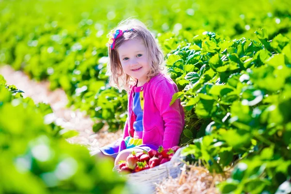 Petite fille cueillant des fraises dans une ferme — Photo