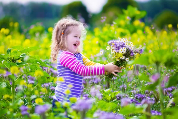 Niña recogiendo flores silvestres en un campo — Foto de Stock