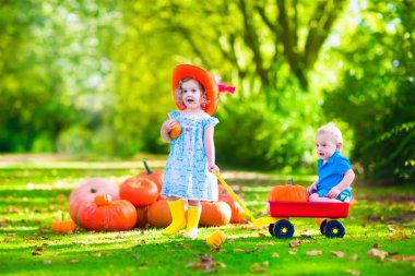 Kids playing at pumpkin patch