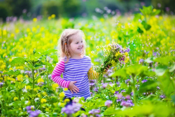 Little girl picking wild flowers in a field — Stock fotografie